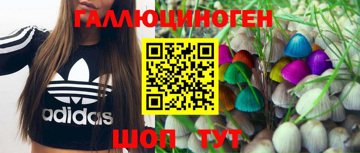 Псилоцибиновые грибы Psilocybine cubensis  Вход с VPN  Псилоцибиновые грибы GOLDEN TEACHER  Иркутск 